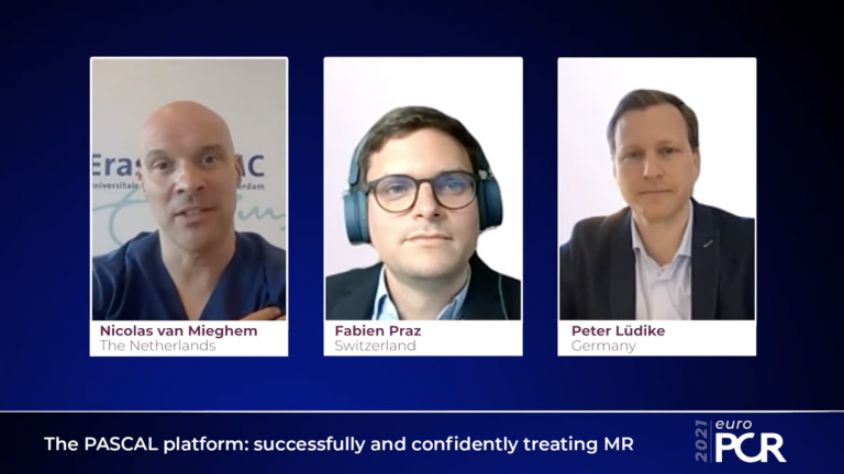 The PASCAL platform: successfully and confidently treating MR - EuroPCR 2021 Video Template